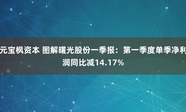 元宝枫资本 图解曙光股份一季报：第一季度单季净利润同比减14.17%