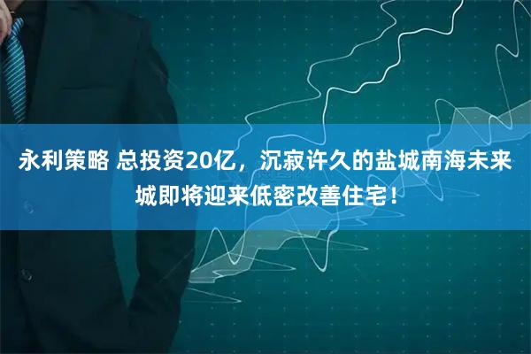 永利策略 总投资20亿,沉寂许久的盐城南海未来城即将迎来低密改善住宅!