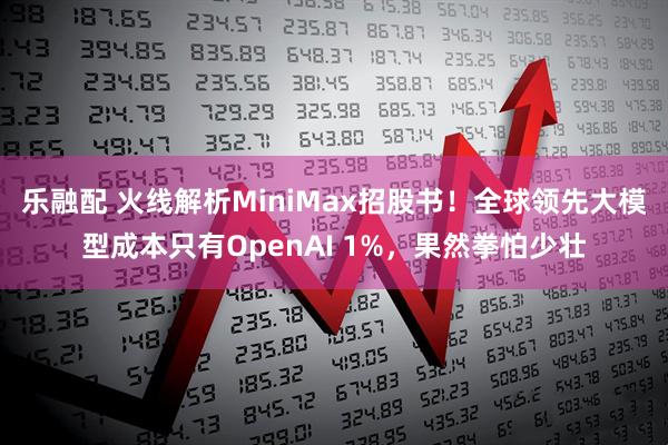 乐融配 火线解析MiniMax招股书!全球领先大模型成本只有OpenAI 1%,果然拳怕少壮