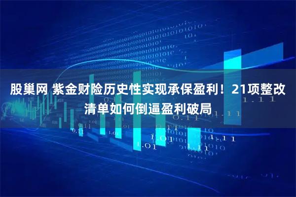 股巢网 紫金财险历史性实现承保盈利！21项整改清单如何倒逼盈利破局