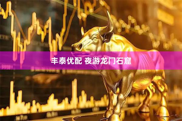 丰泰优配 夜游龙门石窟